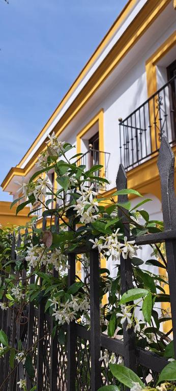 Villa Marcel - Bed and Breakfast Jerez de la Frontera
