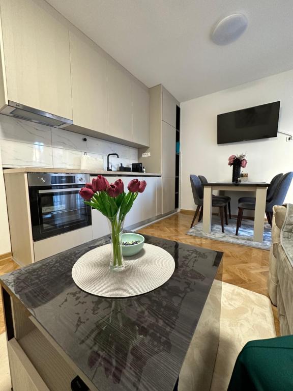 Talija apartman 3 - Bed and Breakfast Vrnjačka Banja