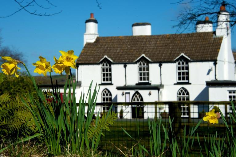 Tudor Lodge Bed & Breakfast - B&B Manorbier