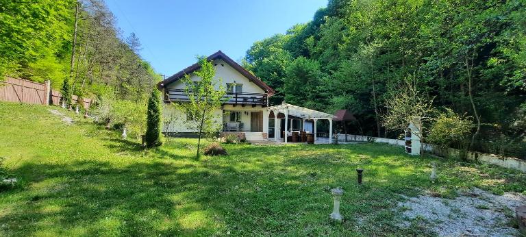 Casa Licurici - B&B Govăjdia