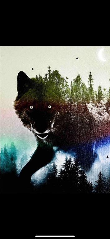 The Wolfs Den - Bed and Breakfast Bancroft