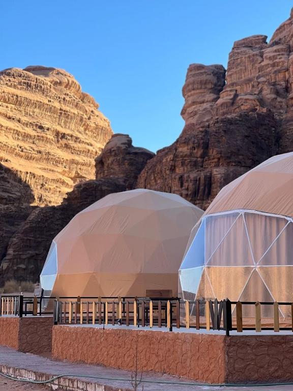 Bedouin life Camp - B&B Ramm