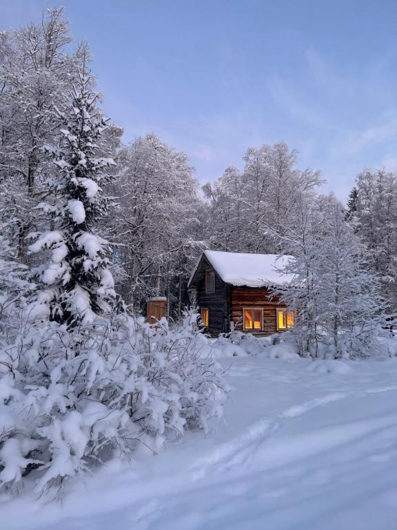 Gemütliche Blockhütte mit Außentoilette und Badezimmer im Haupthaus - B&B Jörn
