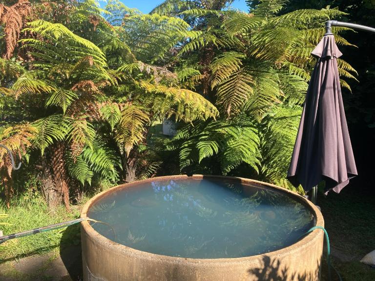 Whare&geothermal pool by lake Taupo - B&B Turangi