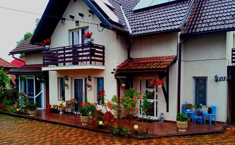 Edelweiss Ilinca - B&B Zarnesti