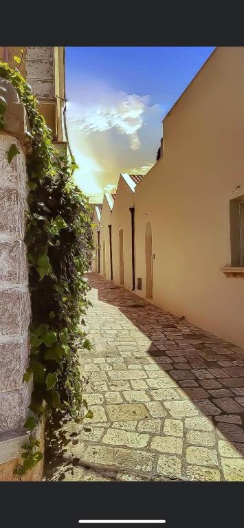 Casa Vacanza SANTA TERESA - B&B Brindisi
