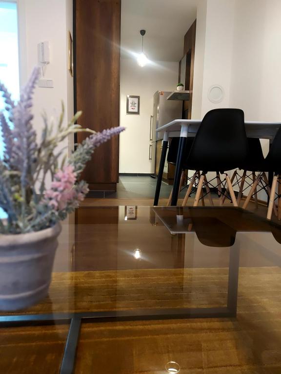 Pinocchio - B&B Bihać