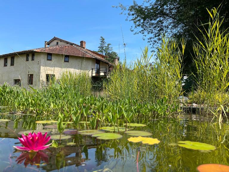ChezLeMoulin-Boulangerie - B&B Samouillan