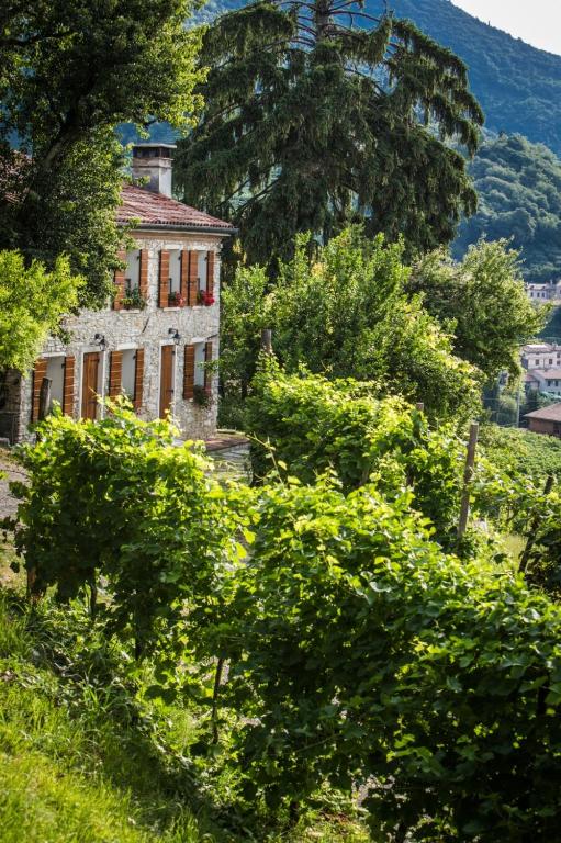 Vite in Rosa La Casetta - Chambres d'hôtes Valdobbiadene