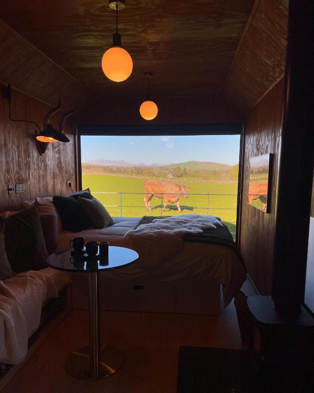 ARA Cabin - Mêl - B&B Pwllheli