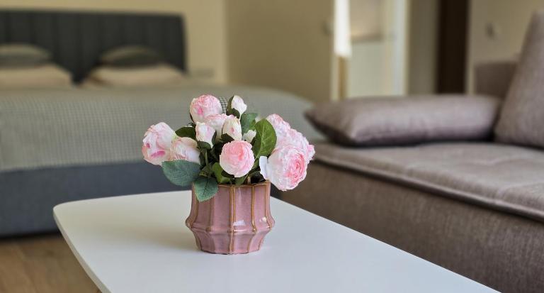Studio Anna - B&B Panevėžys