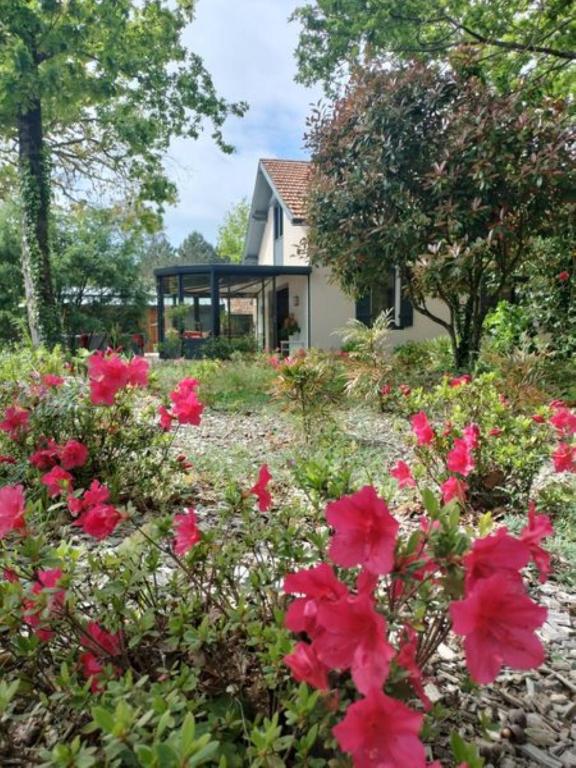 Maison Bel Air - B&B Moliets-et-Maa
