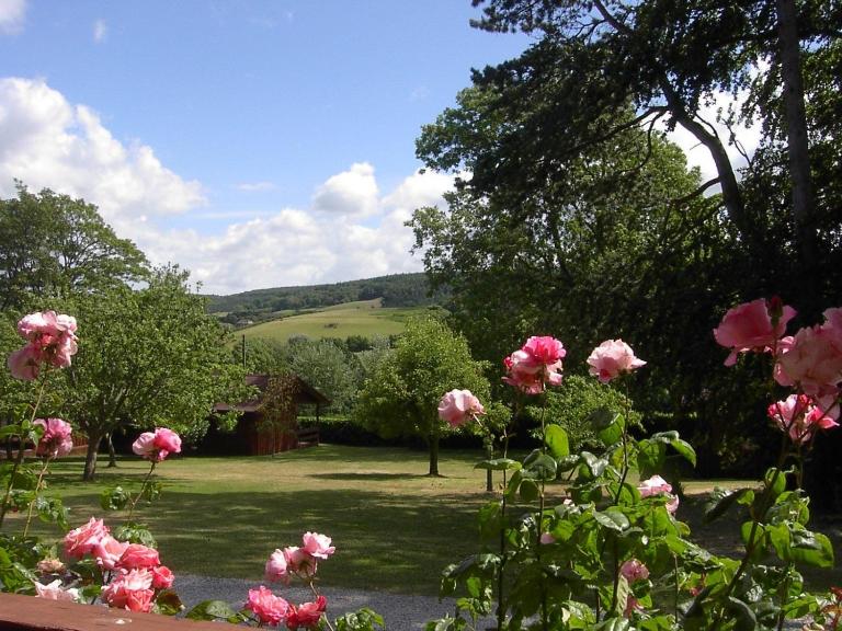 Cedar Lodge - B&B Minehead