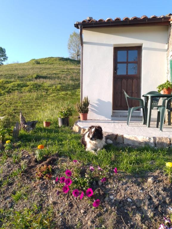 Casa El Collau I - Ferienwohnung La Frecha