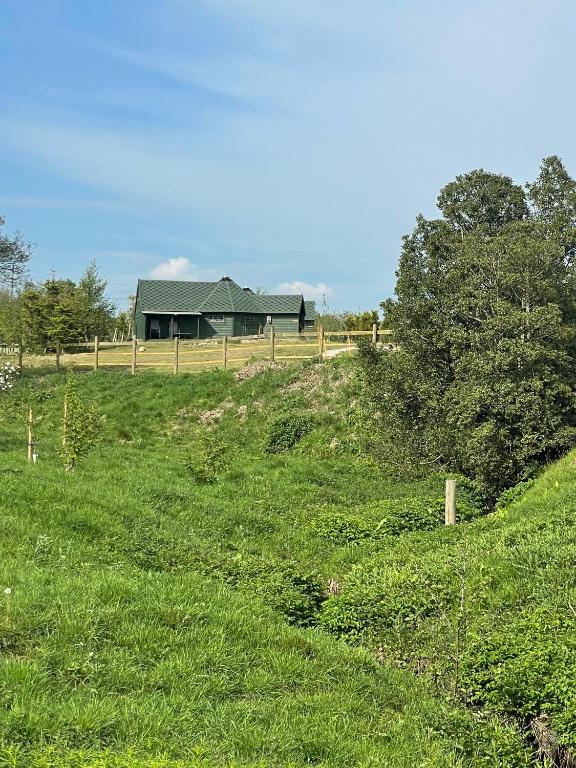 Holly Tree Glamping Cabins - Bed and Breakfast Wigglesworth