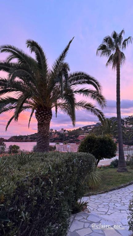 Lou soleil - Bed and Breakfast Théoule-sur-Mer