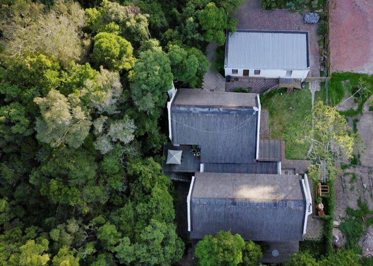 Forest Hideaway - Chambres d'hôtes Knysna