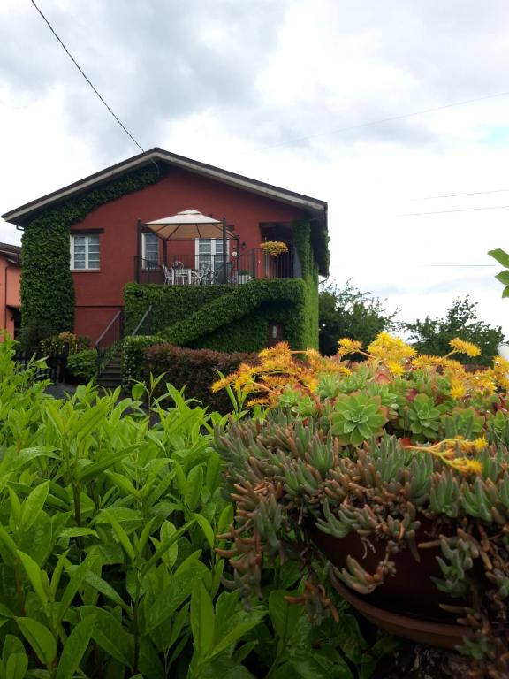 Agriturismo IL BIANCOSPINO Bed & Wine - B&B Lerma