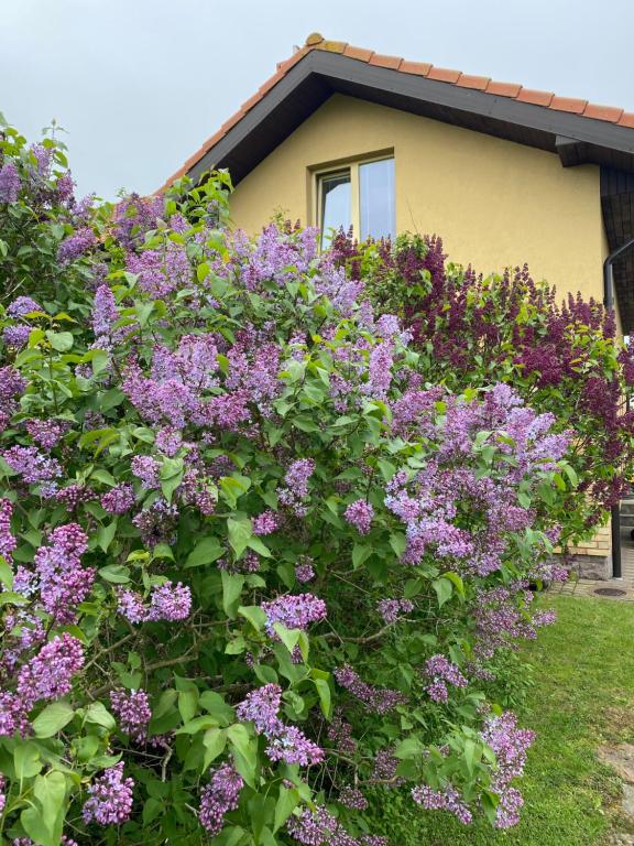 Atostogauti gera 2 - Bed and Breakfast Palanga