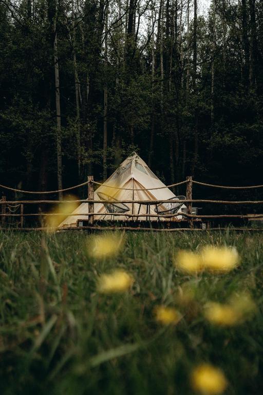 Glamping U Lesa - B&B Rychnov nad Kněžnou