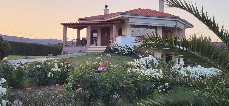 Villa Harry's - B&B Alexandroupoli