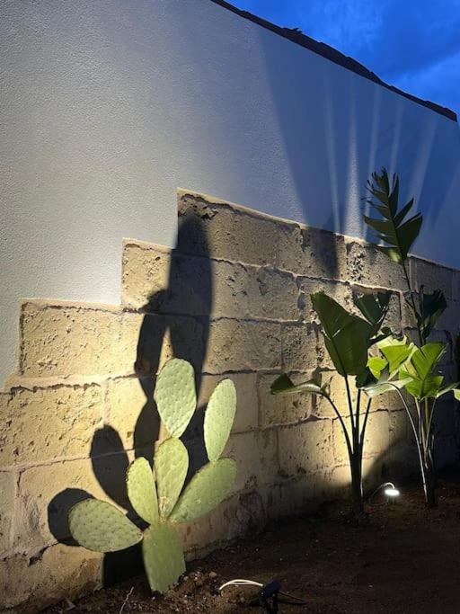 Giardino La Grotta - Casa Vacanze Salentina con Giardino Privato - B&B Ruffano