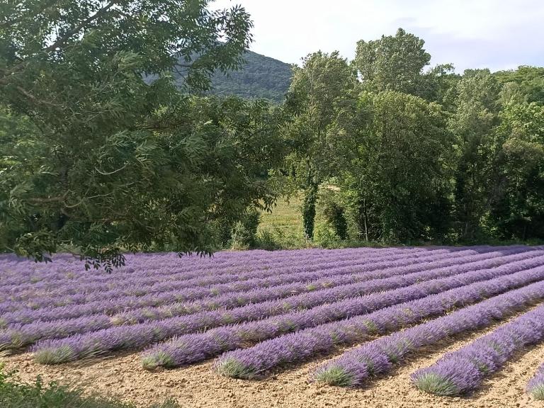 L'Etable - B&B La Coucourde