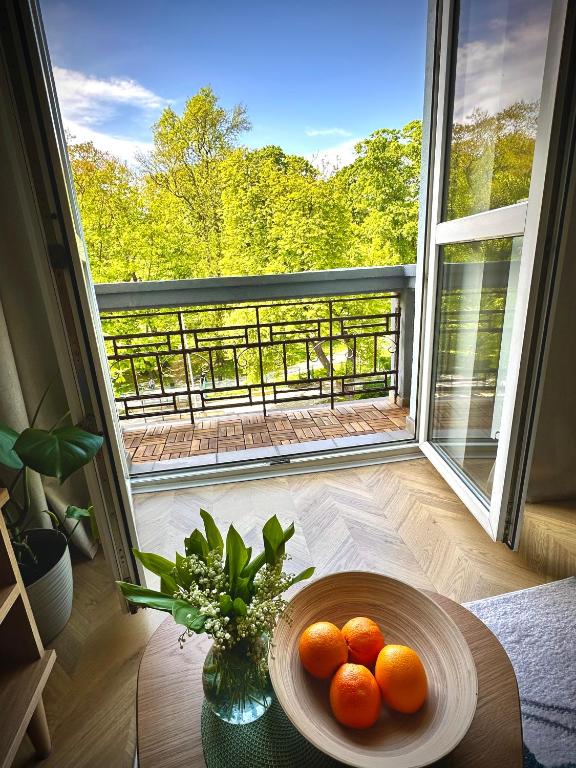 Park House Apartament Deluxe- free parking - Ferienwohnung Czenstochau