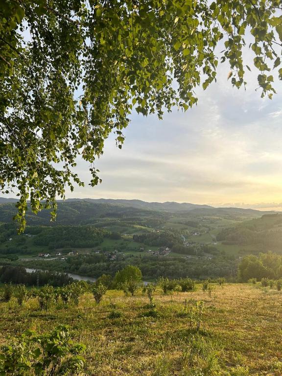 Ranczo pod Lipami - B&B Wola Krogulecka