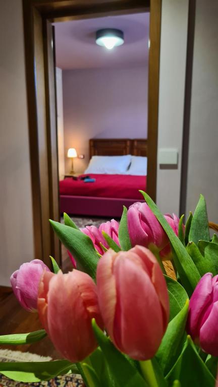 Zi Bitta - guest house - Chambres d'hôtes Palmanova