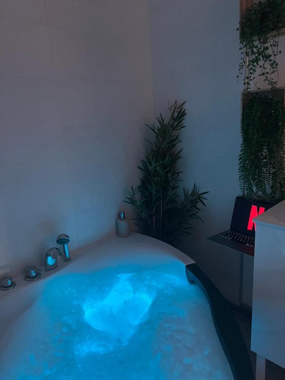 Le Somptueux, Cosy / Balnéo - B&B Carcassonne