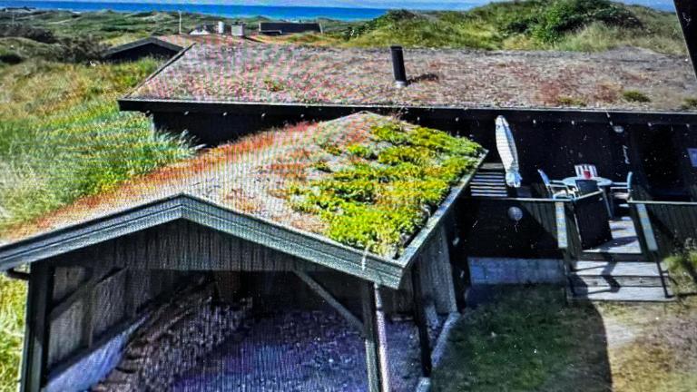 Veludstyret sommerhus i unik natur 350 m fra lækker badestrand - helårsbolig - B&B Saltum