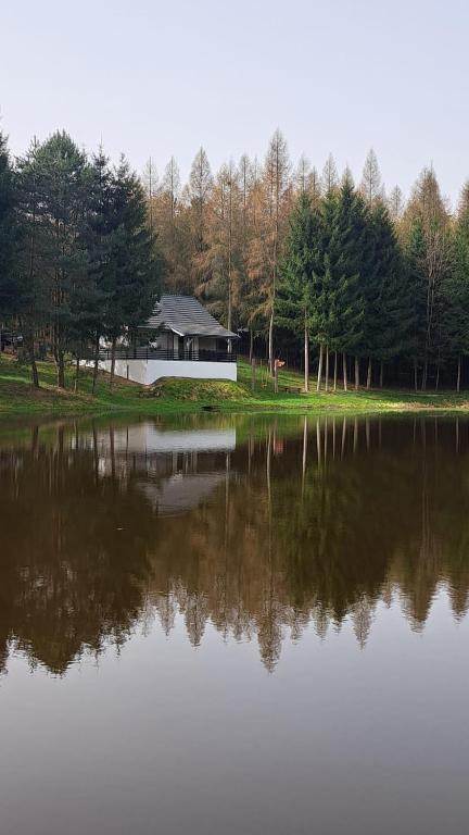 Oaza Las Zagozd 2 - Bed and Breakfast Olchowiec