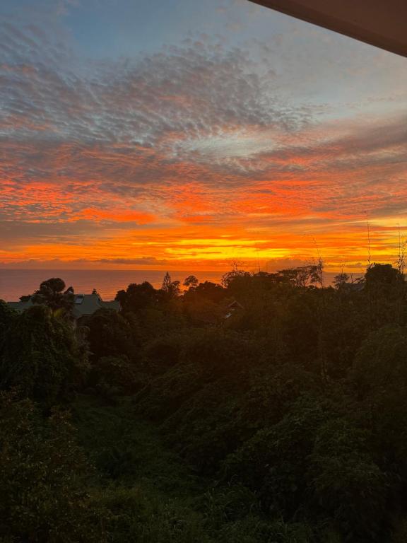 Tierra Santa Self Caterings Apartments - B&B Beau Vallon