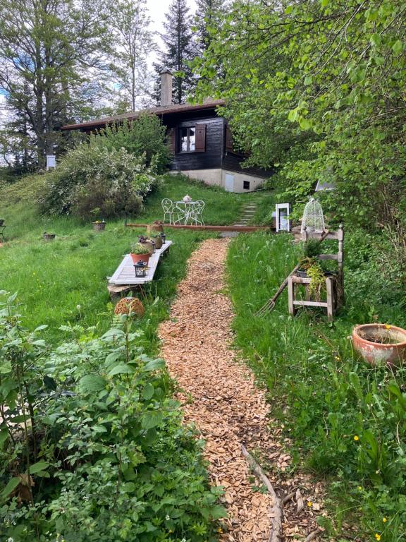 un ptit chalet - B&B Les Brenets