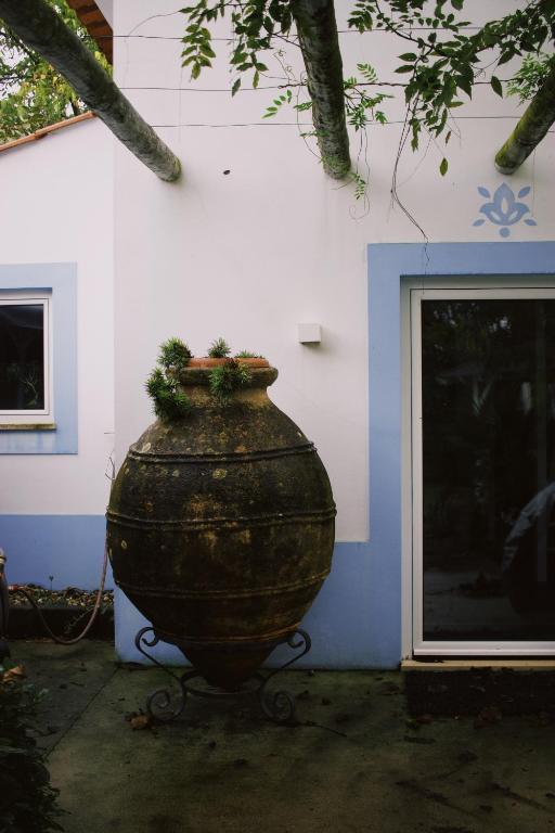 Casa Oliva-Casa da Eira - Ferienwohnung Porto de Mós