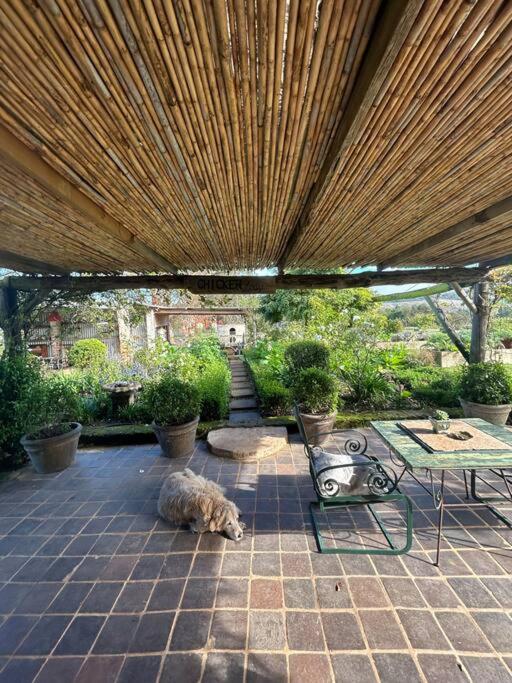 The Chicken Lodge - Charming Farm Cottage - B&B Heidelberg