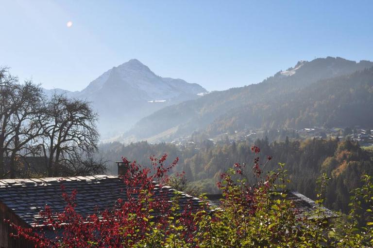 Charmant studio, plein sud, sport et relax - Bed and Breakfast Montriond