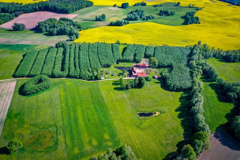 Agroturystyka Dzikie Stawy-Mazury - B&B Golubie Wężewskie