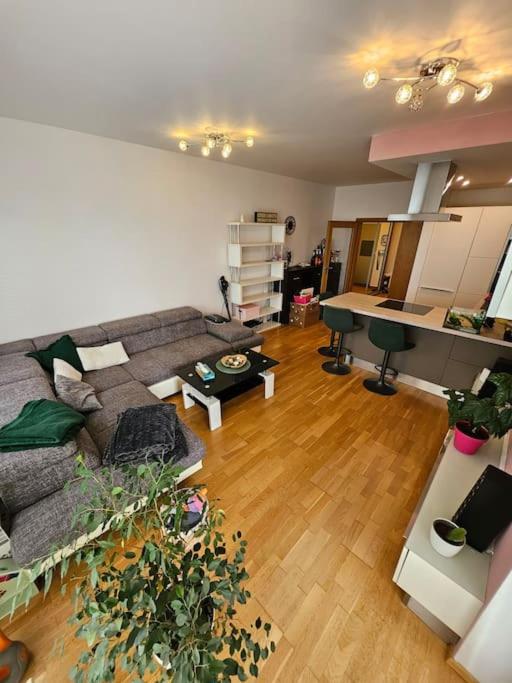Nádherný byt v krásném prostředí - B&B Praga