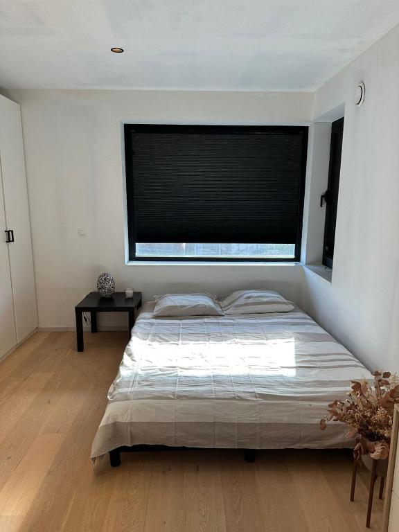 Kamer in hartje van de Vlaamse Ardennen - B&B Oudenaarde