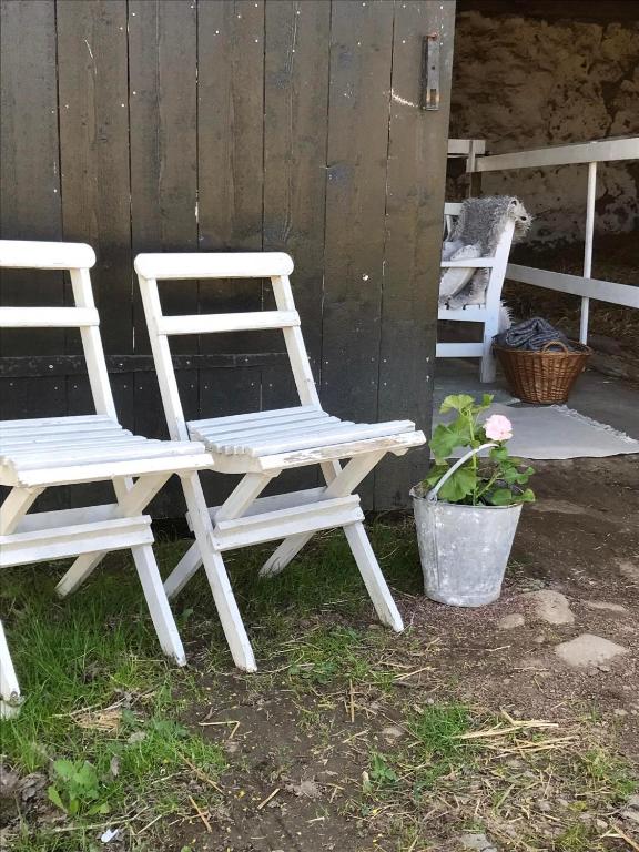 Bo på landet i Sölvesborg - B&B Sölvesborg