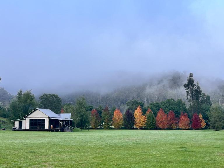 Nunkeri - B&B Wollombi