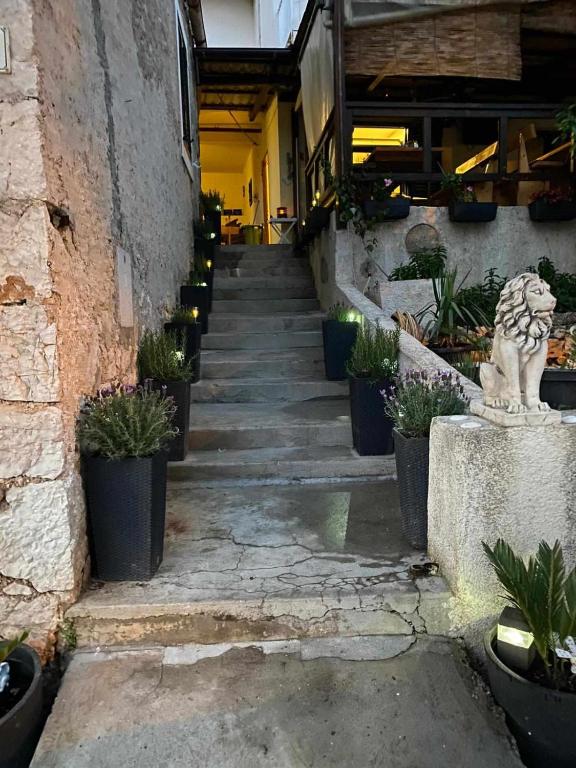 Apartments Kiro - B&B Milna