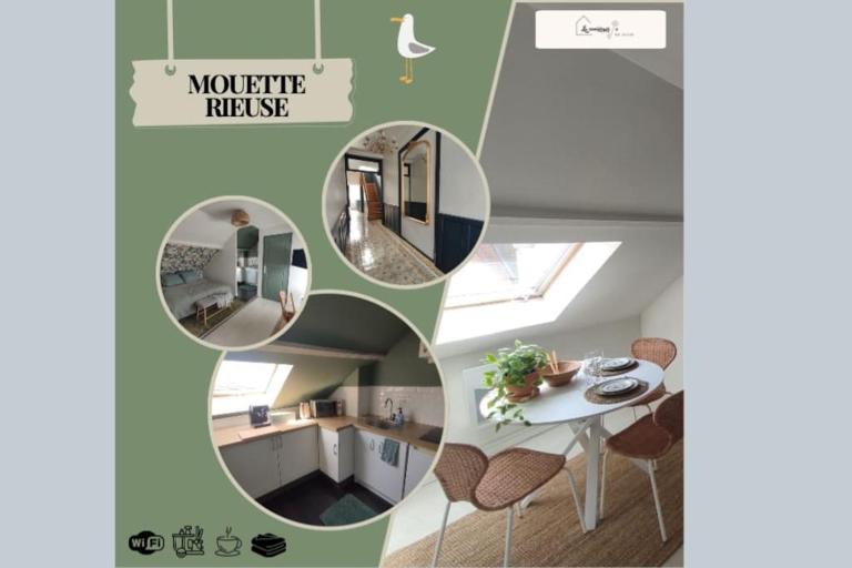 Mouette Rieuse - Bed and Breakfast Malo-les-Bains