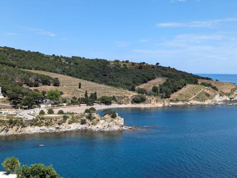 Grand studio avec vue sur la mer et parking - B&B Banyuls de la Marenda