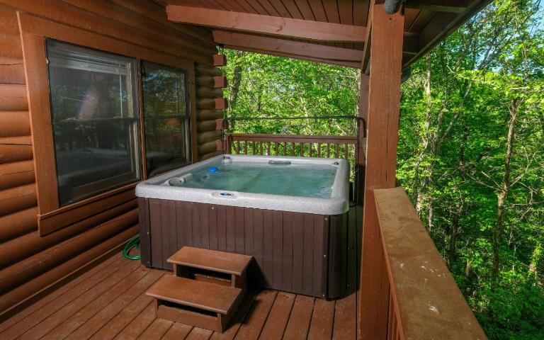 American Eagle - Ferienwohnung Sevierville