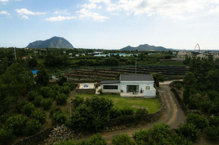 Dazayo Anseong Gangsaengi House - Pet Friendly - B&B Seogwipo