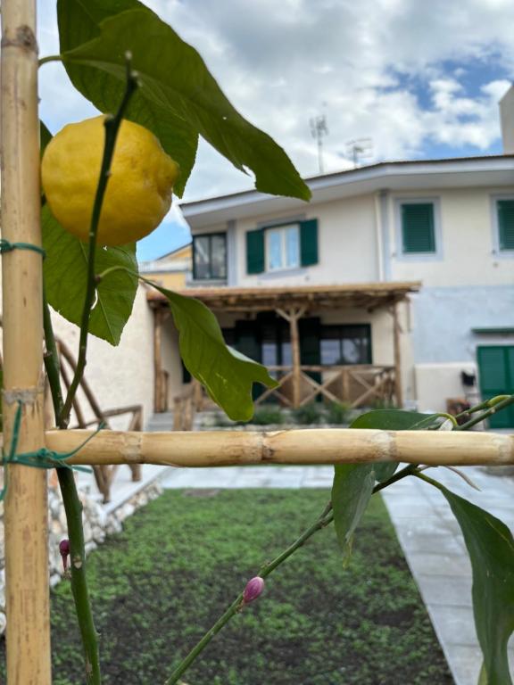 cerasella house - B&B Castellammare di Stabia