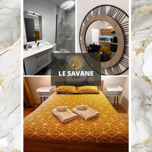 Savane - Appart. tout équipé rénové, avec terrasse - B&B Vichy